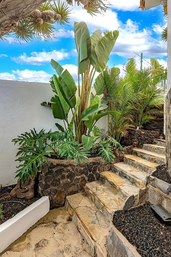 Pampano Ocean View Apartment Puerto de la Cruz  Spain